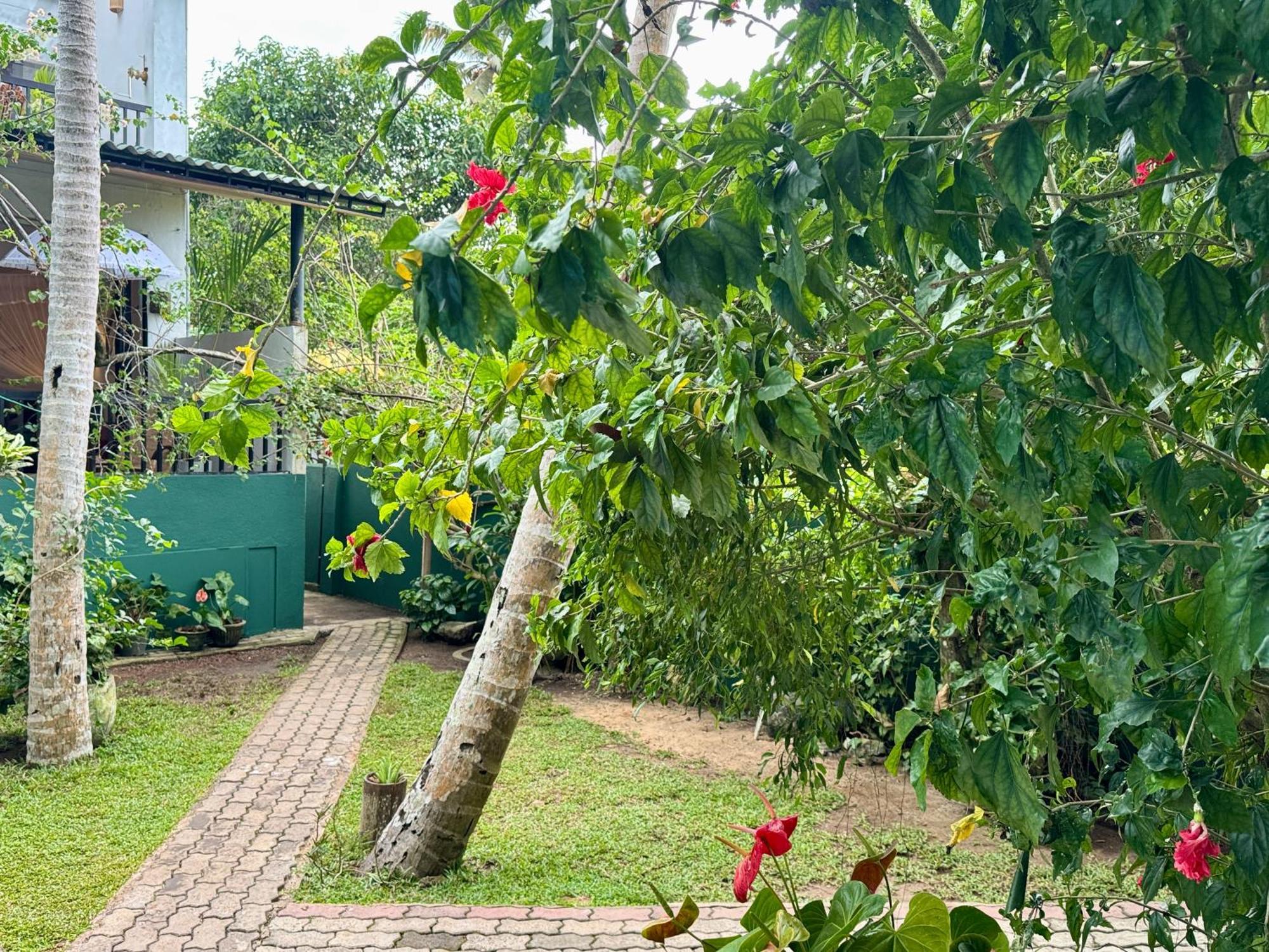 Swastha Ayurveda Villa Hikkaduwa Dış mekan fotoğraf